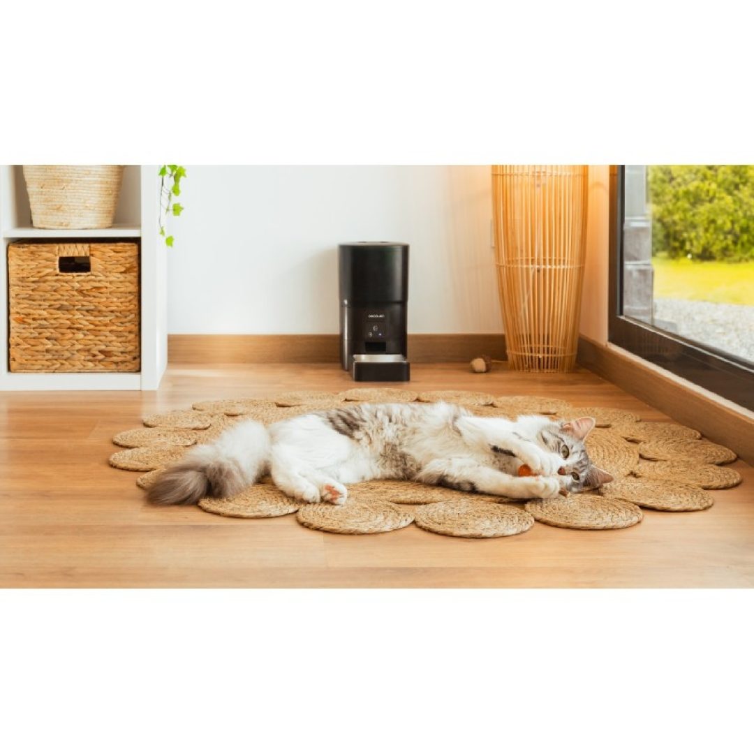 Pumba 6000 Purrfect Meal Smart Pet feeder