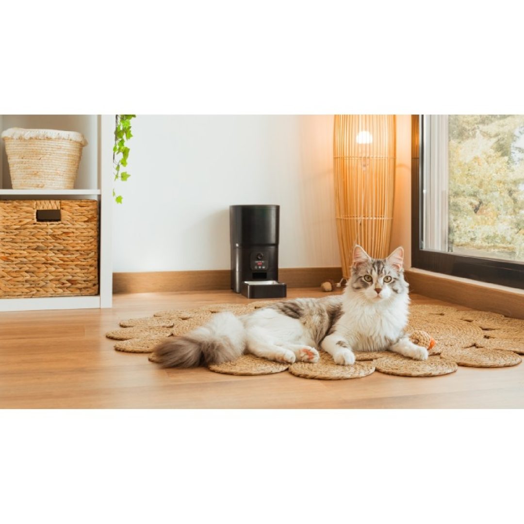 Pumba 6000 Purrfect Meal Smart Vision Pet feeder